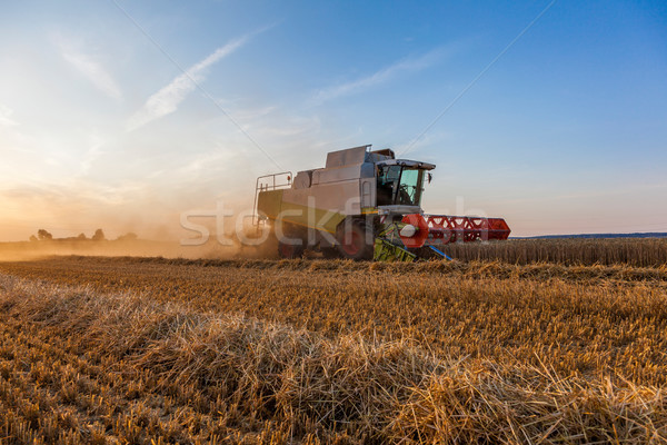 Combine Harvester Wheat Crop Stock photo © limbi007