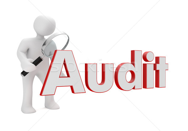 Manikin Loupe Audit Stock photo © limbi007