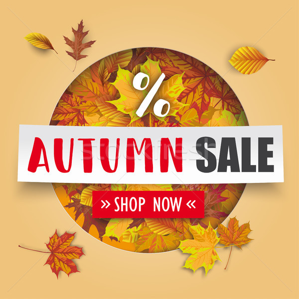 Autumn Sale Cover Hole Foliage White Paper Banner  Stock photo © limbi007