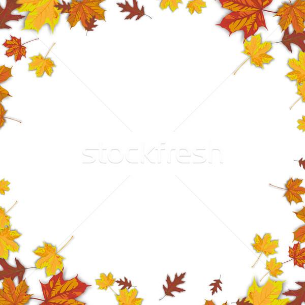 Autumn Background Foliage White Centre Stock photo © limbi007