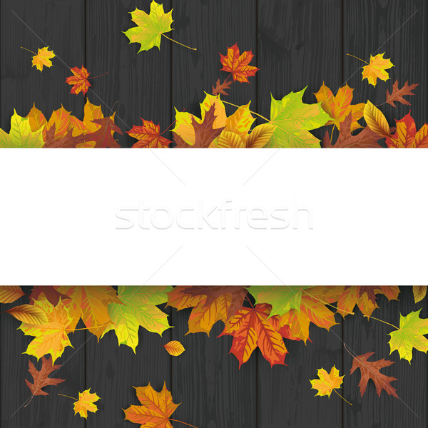 Stock photo: Foliage Black Wood White Banner Cover