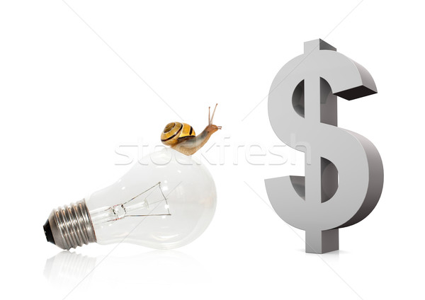 Snail On Bulb Dollar Stock photo © limbi007