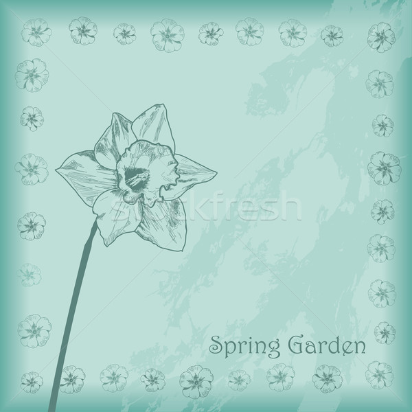 Spring Garden Stock photo © limbi007
