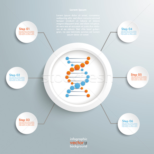 DNA Infographic Stock photo © limbi007