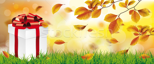 Autumn Beech Foliage Sunlights Grass Gift Stock photo © limbi007