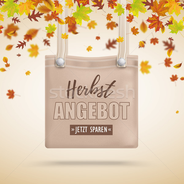 Brown Purse Bag Herbstangebot Autumn Foliage Stock photo © limbi007