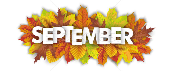 Autumn Foliage September Header White Background Stock photo © limbi007