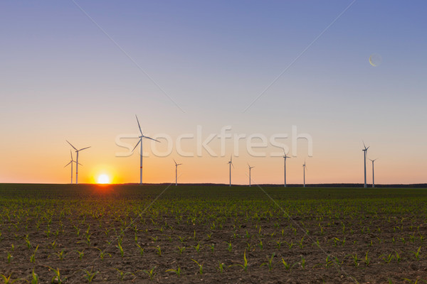 Szélfarm kukorica mező naplemente égbolt nap Stock fotó © limbi007