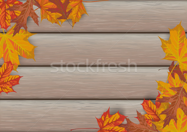 Wooden Autumn Foliage Stock photo © limbi007