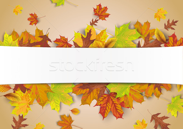 White Paper Banner Autumn Foliage Stock photo © limbi007