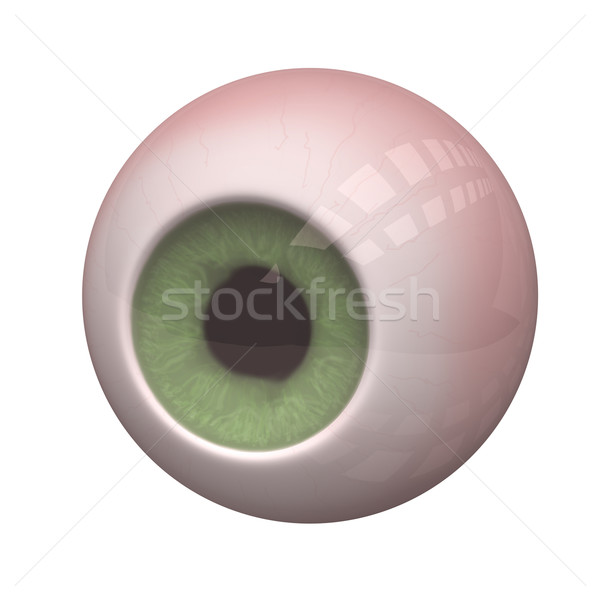 Eye Oculus Stock photo © limbi007