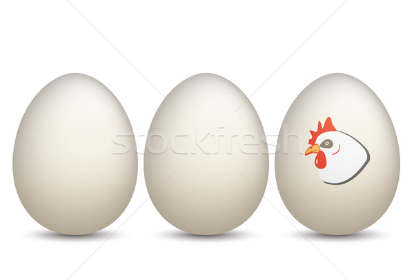 3 Eggs Chicken Stock photo © limbi007