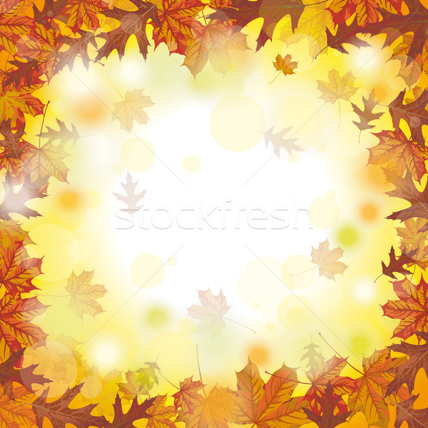 Outside Autumn Foliage Fall Stock photo © limbi007