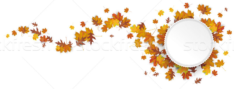 Carta emblema autunno fogliame onda Foto d'archivio © limbi007