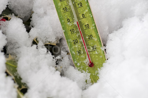 Сток-фото: термометра · области · нулевой · льда · зима