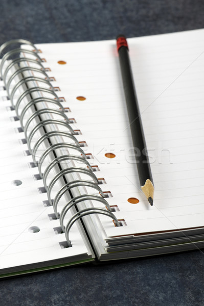 Agendă deschide carte scrie jurnal planificare Imagine de stoc © limpido