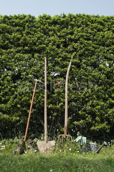 Jardinería cerca primavera trabajo Foto stock © limpido