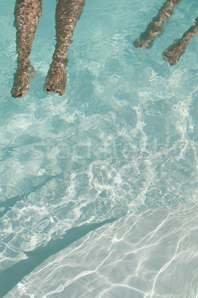 Piscina esquina piscina piernas natación agua Foto stock © limpido