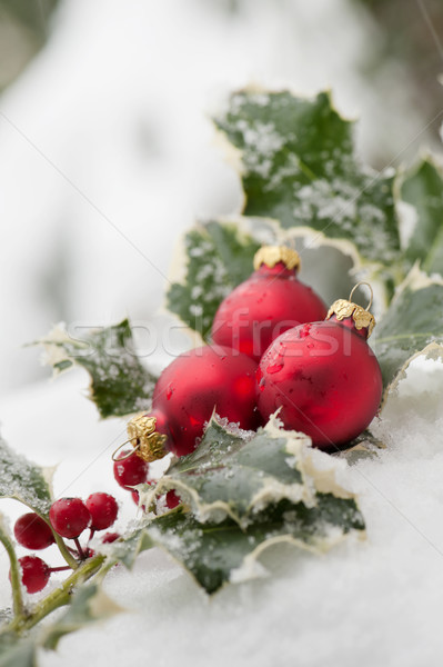 Navidad rojo verde invierno blanco Foto stock © limpido