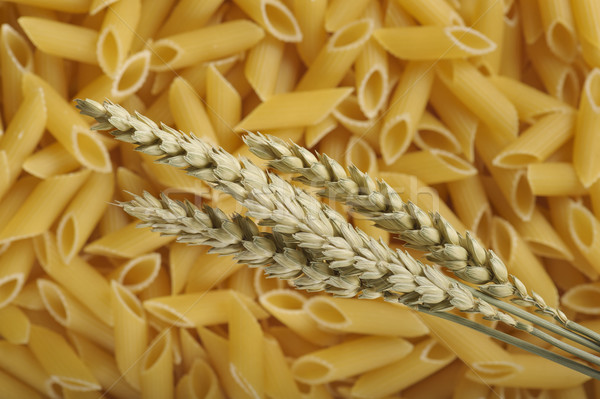 Orejas trigo pasta maíz Foto stock © limpido