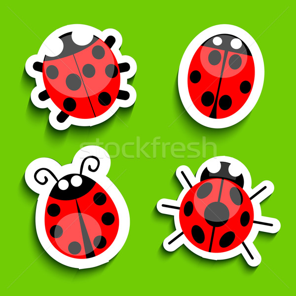 Stock photo: Ladybug 