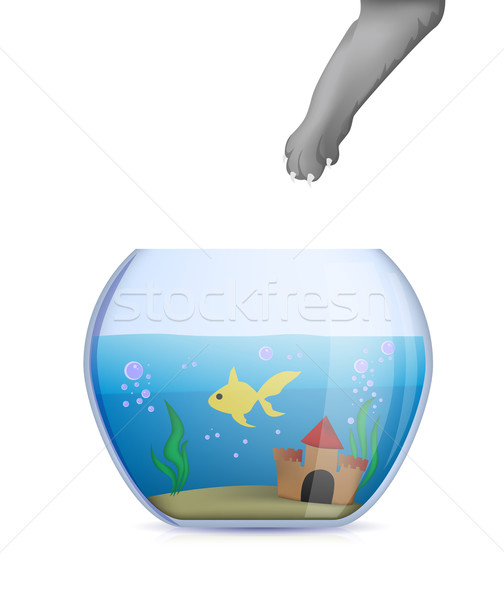 [[stock_photo]]: Chat · voler · Goldfish · alimentaire · poissons · maison