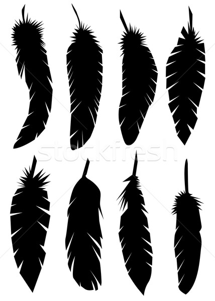 Stock photo: Feathers silhouettes