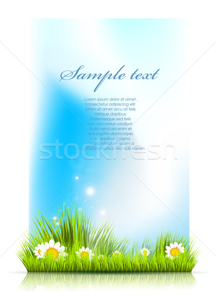 Zomer flyer tuin achtergrond web tapijt Stockfoto © lindwa