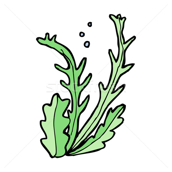Desen animat alga mână artă retro amuzant Imagine de stoc © lineartestpilot