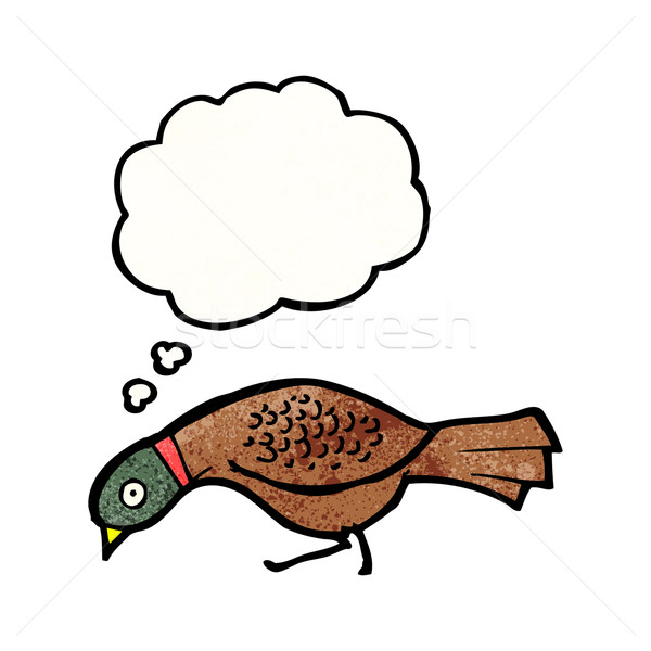 cartoon grouse Stock photo © lineartestpilot
