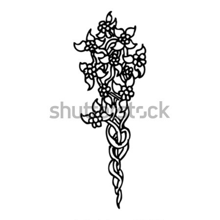 Berbec craniu sulita negru alb ilustrare artă Imagine de stoc © lineartestpilot