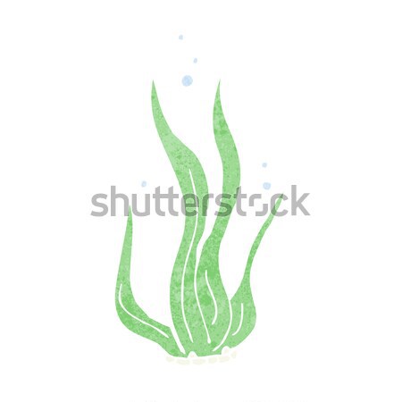 Сток-фото: Cartoon · морские · водоросли · морем · дизайна · искусства · ретро