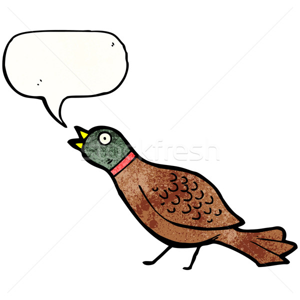cartoon pheasant Stock photo © lineartestpilot