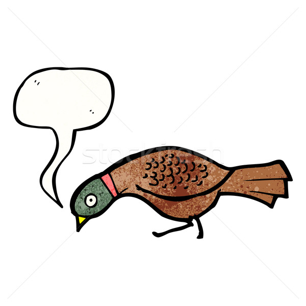 cartoon pheasant Stock photo © lineartestpilot