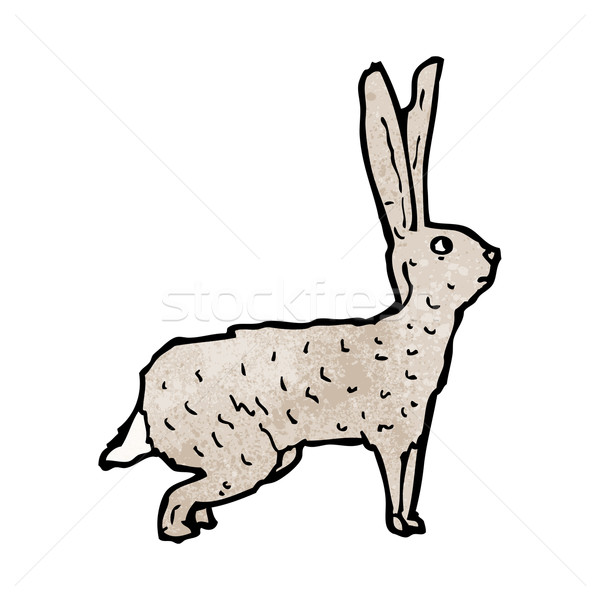 [[stock_photo]]: Lièvre · illustration · texture · lapin · art · animaux