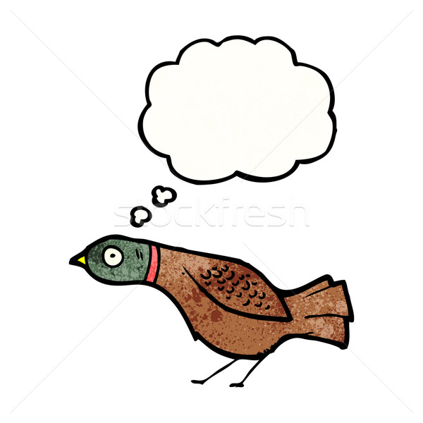 cartoon grouse Stock photo © lineartestpilot