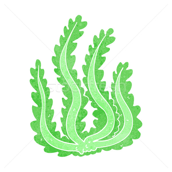 Desen animat alga proiect artă retro amuzant Imagine de stoc © lineartestpilot