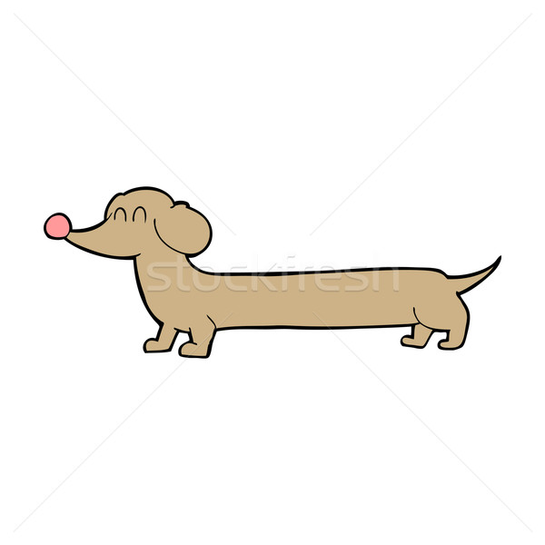 Rajz tacskó kéz kutya terv állatok Stock fotó © lineartestpilot