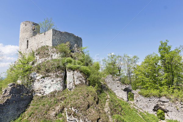 Gothic rocky castles in Poland. Stock photo © linfernum