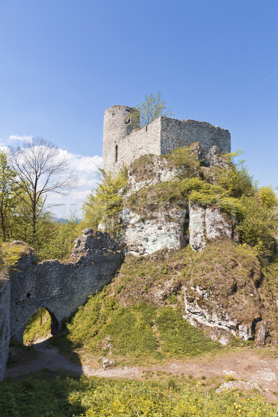 Gothic rocky castles in Poland. Stock photo © linfernum