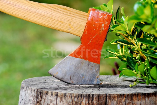 Axe in a wooden log Stock photo © Lio22