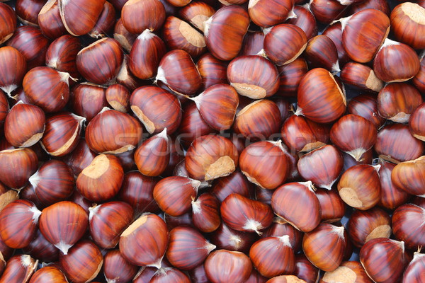 Chestnuts Stock photo © Lio22