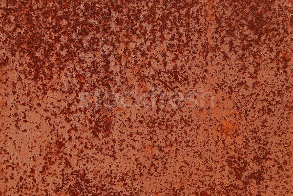 Rust Stock photo © Lio22