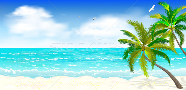 Tropical beach, palm trees 1 Stock photo © liolle