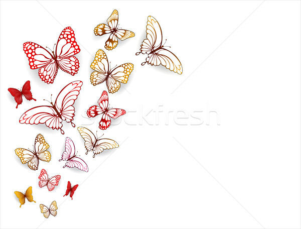 Toplama kelebekler beyaz doğa arka plan Stok fotoğraf © liolle
