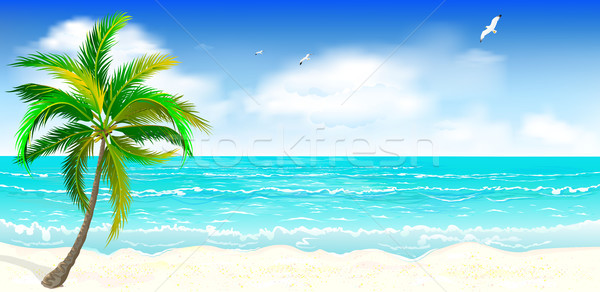 Tropical sandy beach Stock photo © liolle