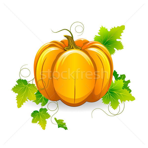 Pumpkin Stock photo © liolle