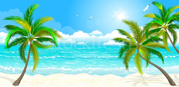 Tropical beach with palm trees Stock photo © liolle