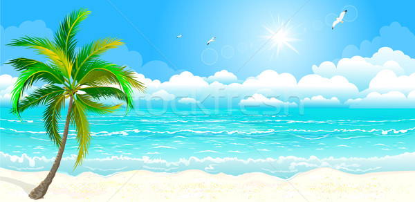 Tropikal sahil manzara kıyı deniz hurma ağacı Stok fotoğraf © liolle