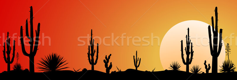 Mexico desert sunset   Stock photo © liolle